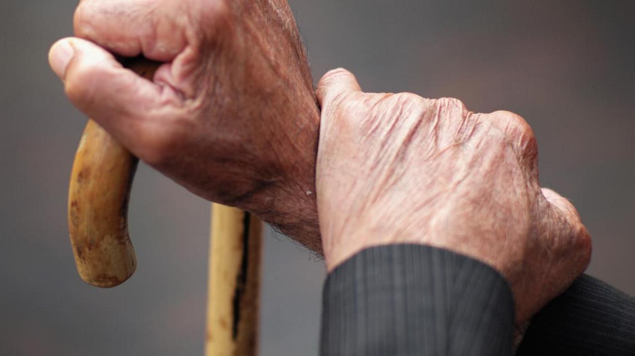 Hands of an older person holding onto a walking stick. Source: Newshub.