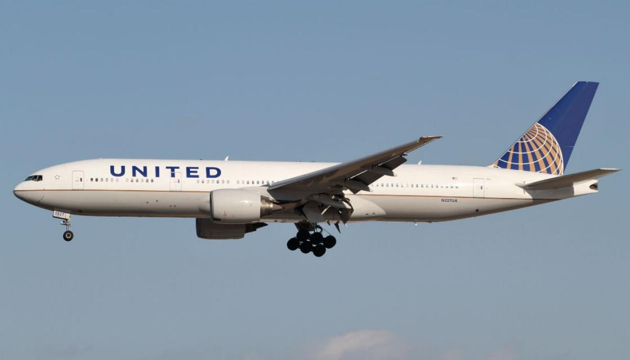 United Airlines re-routes plane in third dog-related accident in a week | Newshub