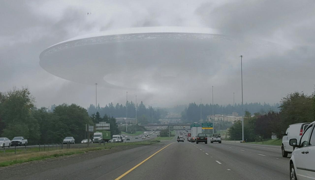 Reported UFO sightings hit record high | Newshub