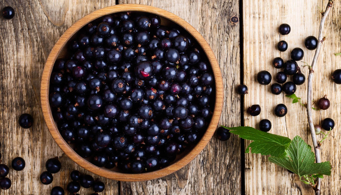 Black Currant For Summer: Heres How You Can Include This Versatile Fruit In  Your Diet NDTV Food | vlr.eng.br