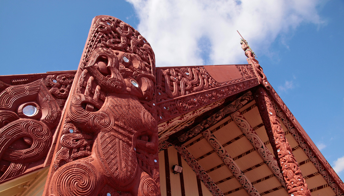 Māori language likely doomed, despite recent uptick in speakers - study | Newshub