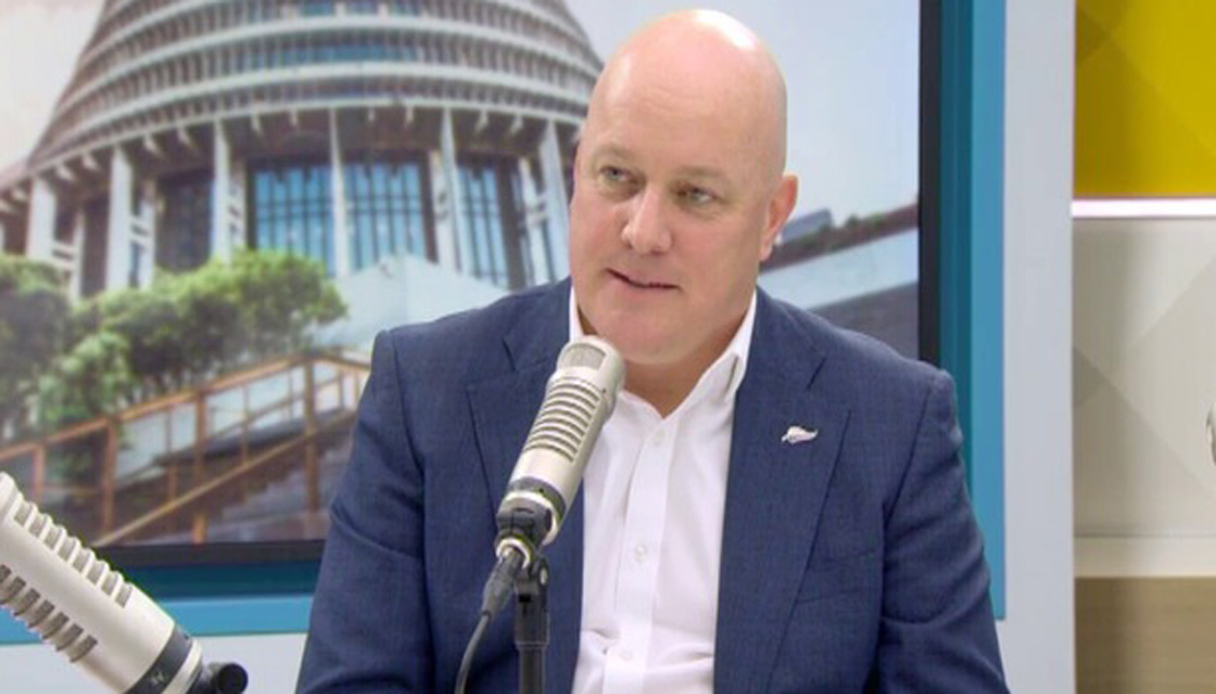 Christopher Luxon not ruling out going for National leadership | Newshub