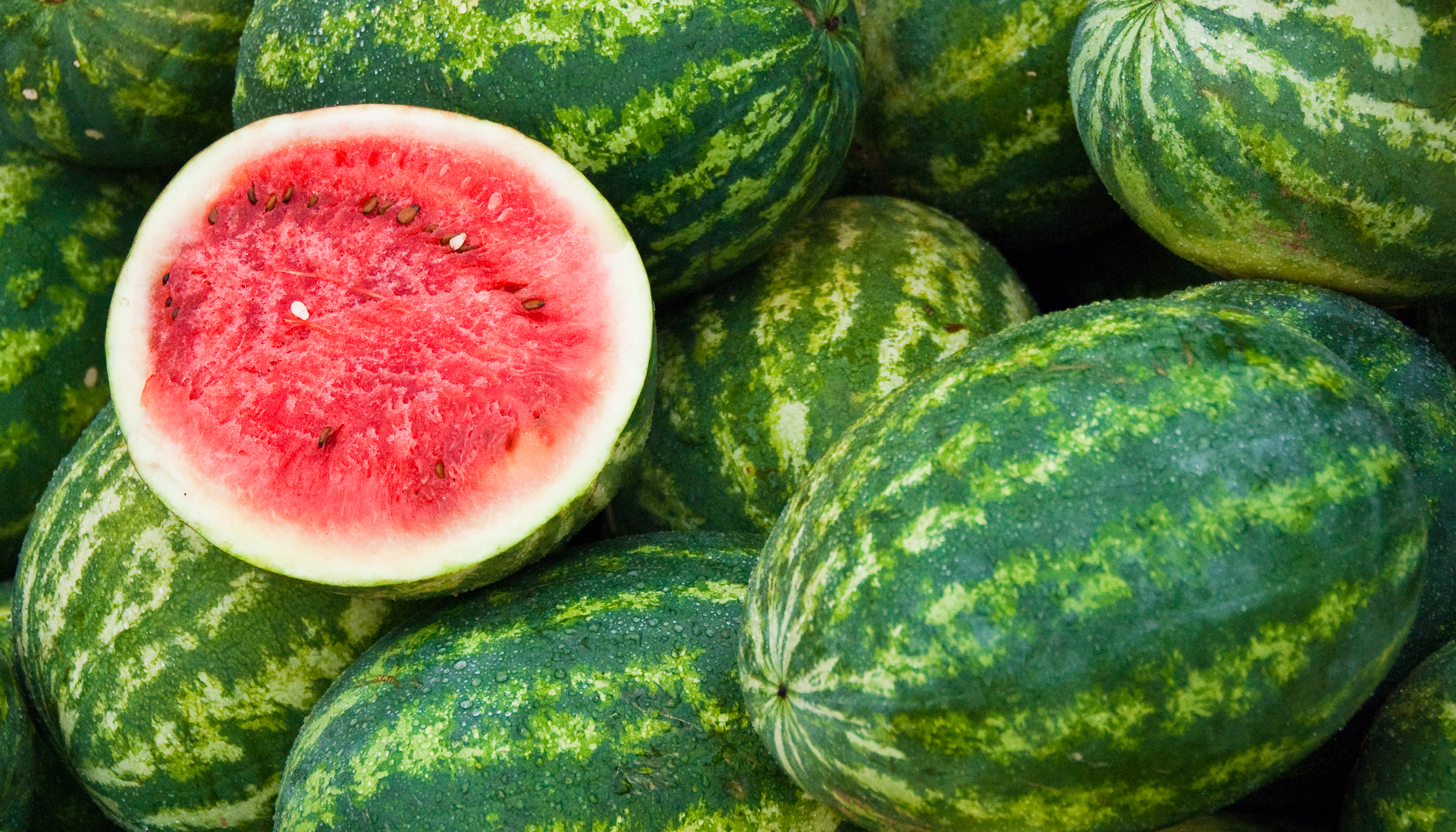 $100 watermelon horrifies Kiwis and makes worldwide news - but is it  actually unreasonable? | Newshub