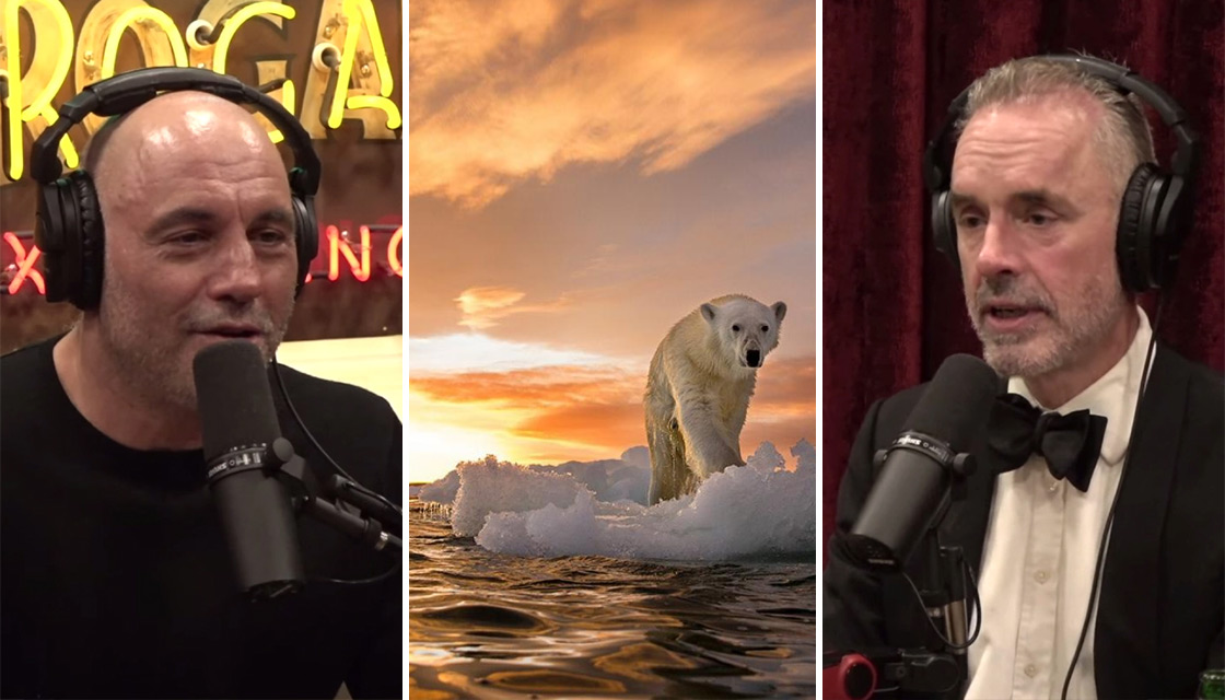Prohibición Extremo Por Jordan Peterson called out over climate change claims made on Joe Rogan  podcast | Newshub