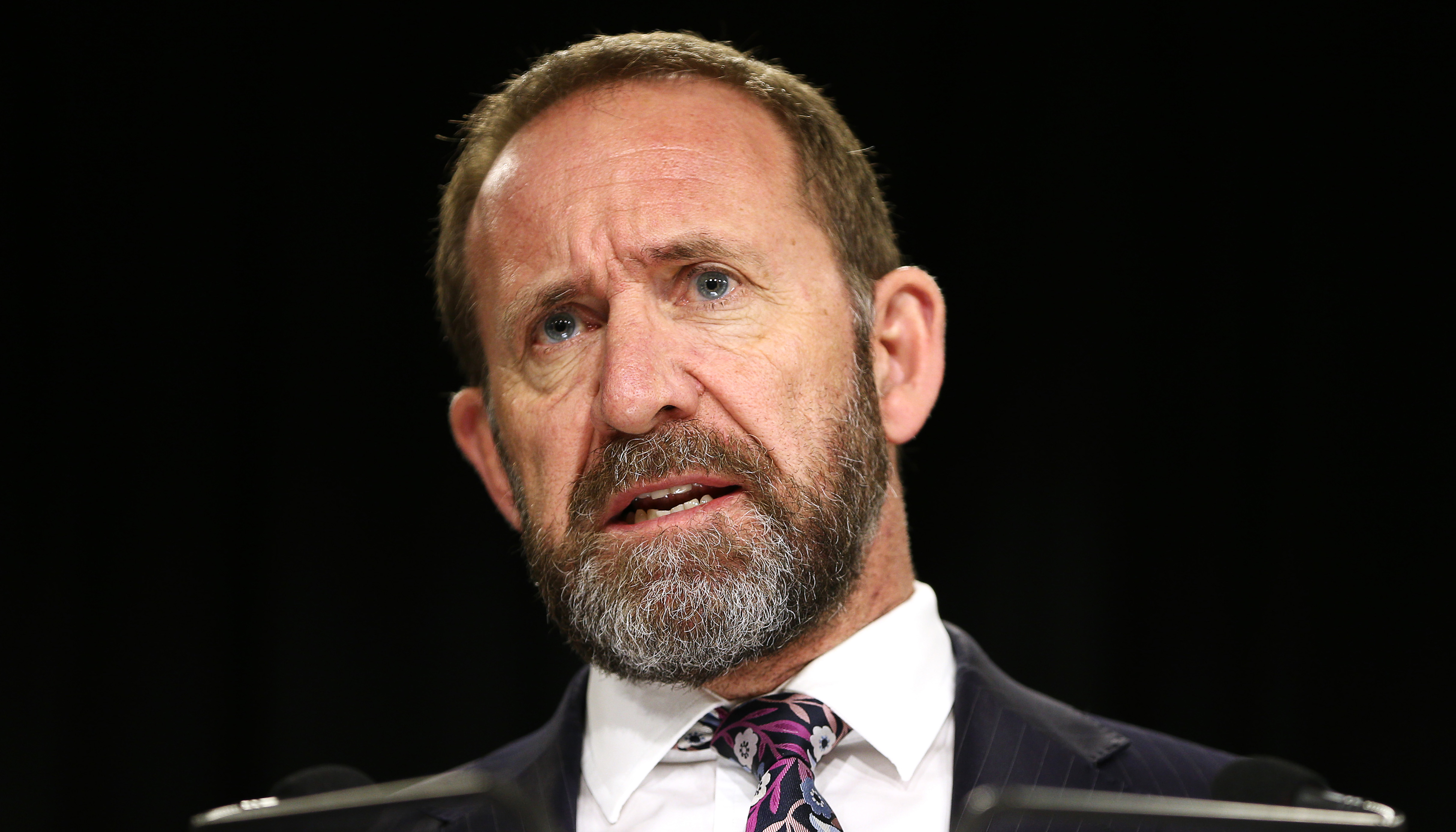 Health Minister Andrew Little outlines plan to boost health workers |  Newshub