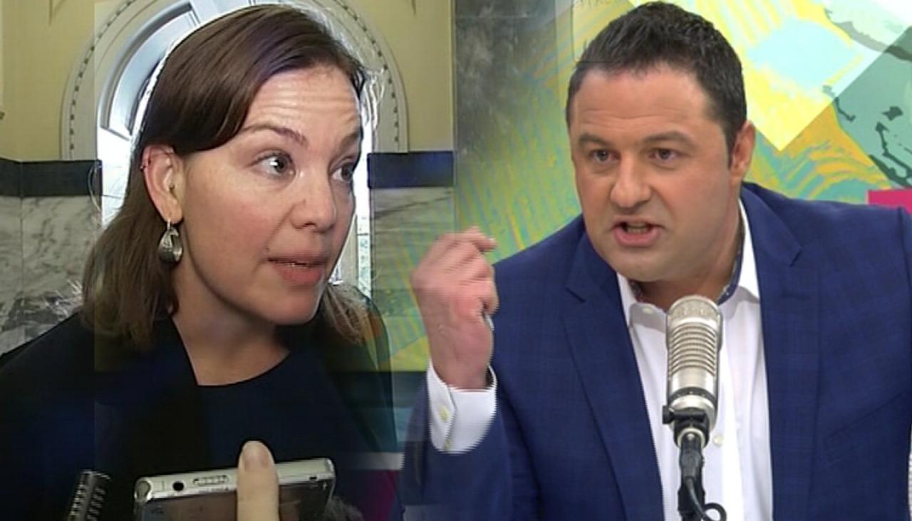 'Tizzy fit' not a good look for the Greens - Duncan Garner | Newshub