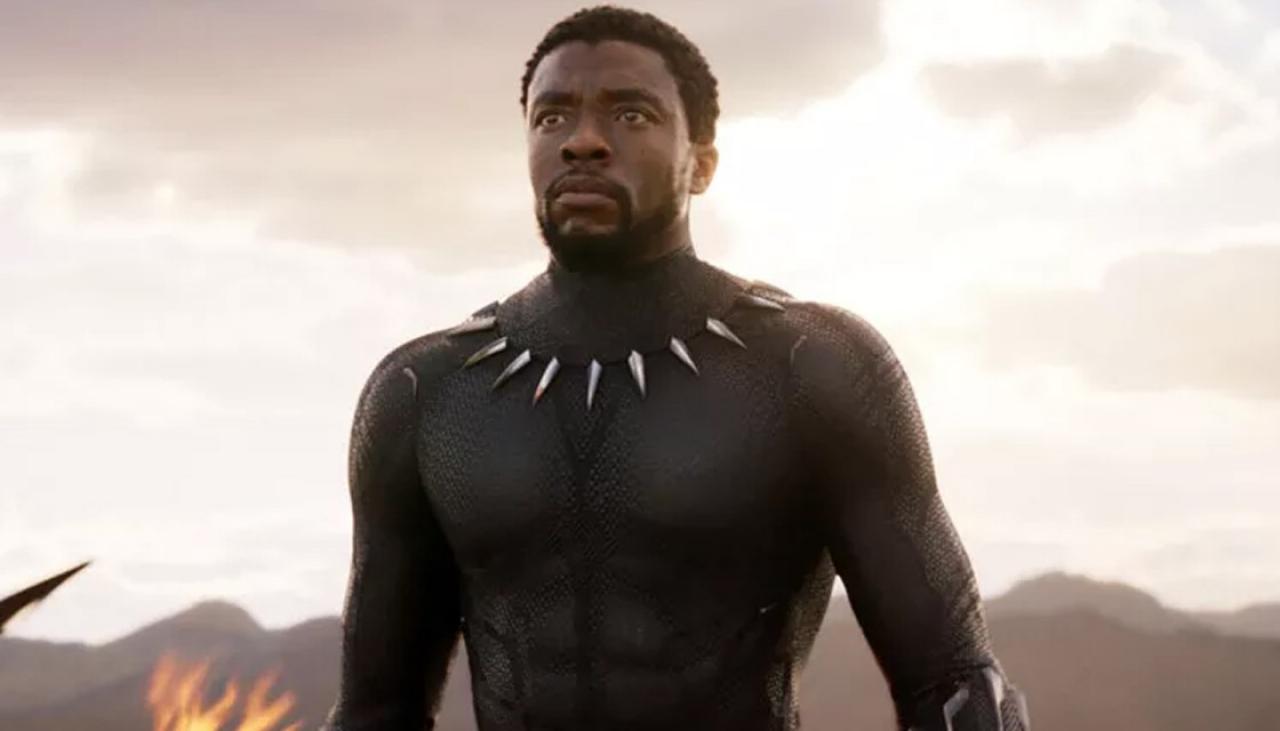 Black Panther actor Chadwick Boseman dies | Newshub