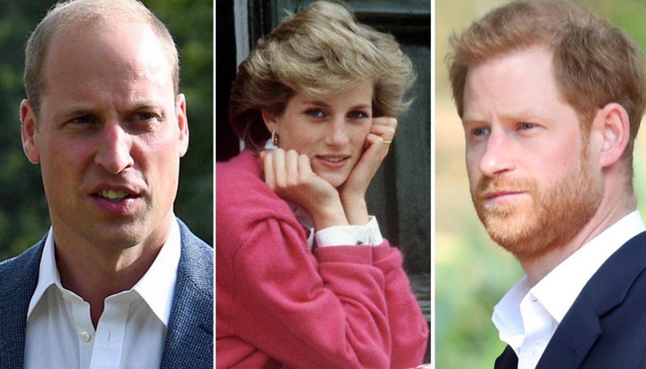 All eyes on Princes Harry and William ahead of Princess ...