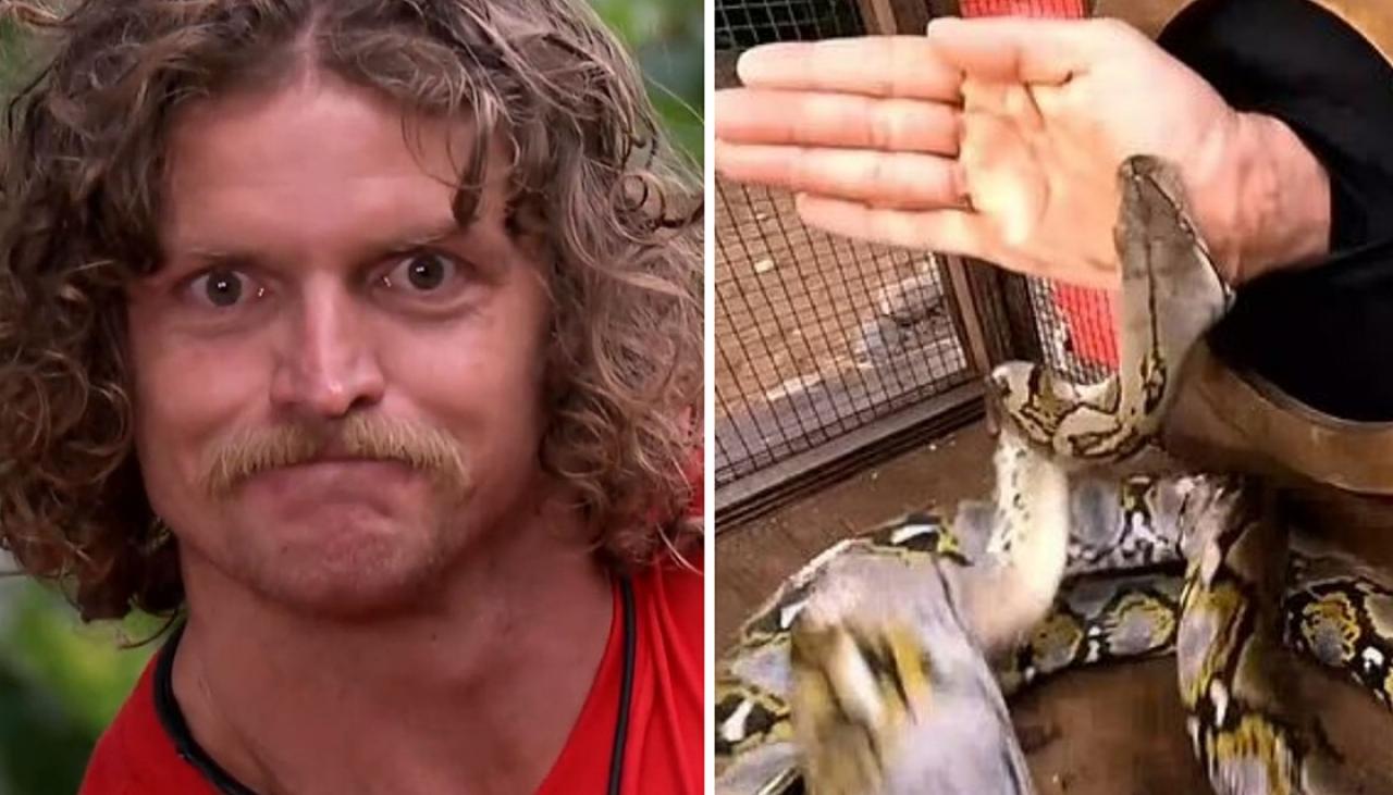Nick 'Honey Badger' Cummins needs medical help after being bit by huge  snake on I'm a Celebrity