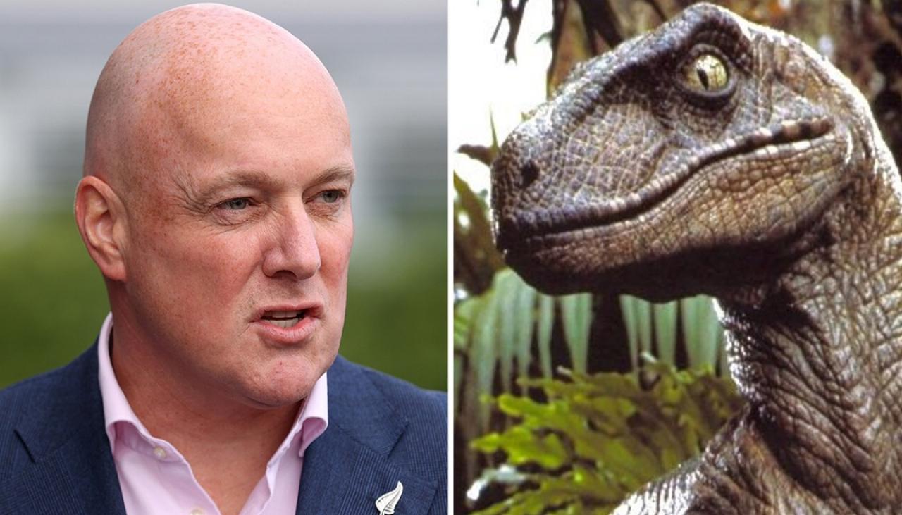 Guy Williams asks Chris Luxon if he believes in dinosaurs, doesn't get an  answer | Newshub