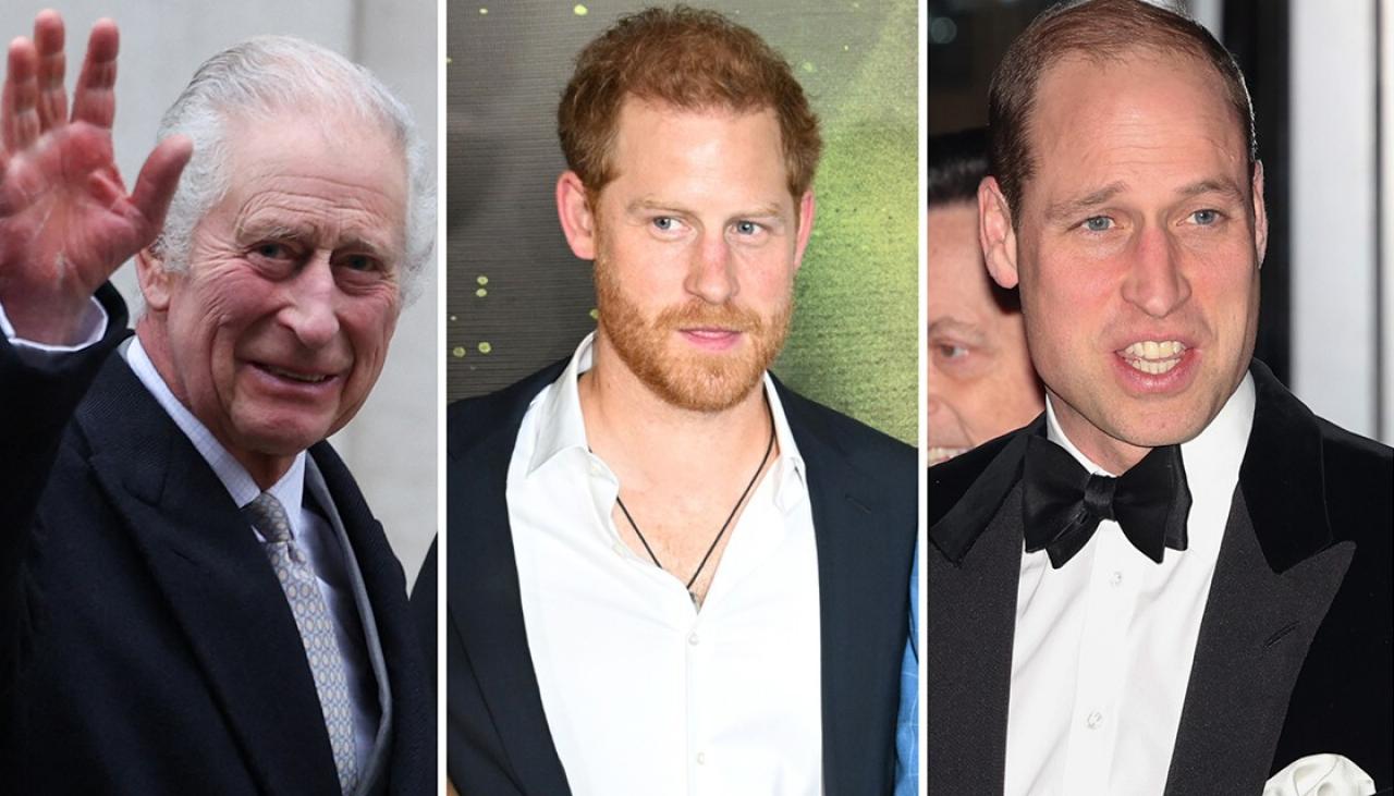 King Charles cancer: Prince William issues first comments as Harry ...