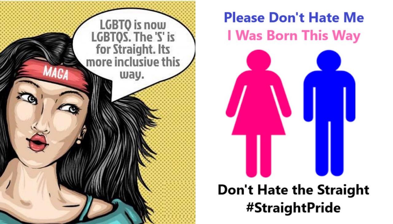 Image result for straight pride