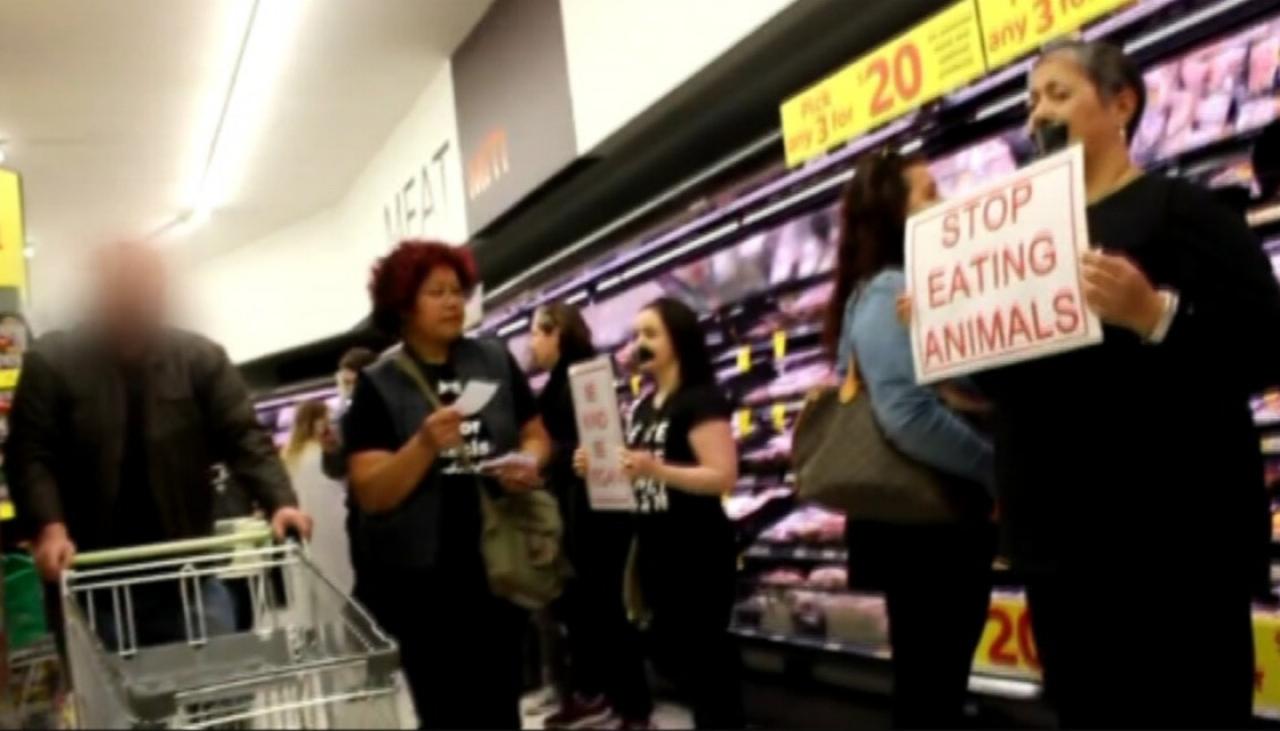Shoppers lash out at vegan protest inside Countdown St Lukes | Newshub