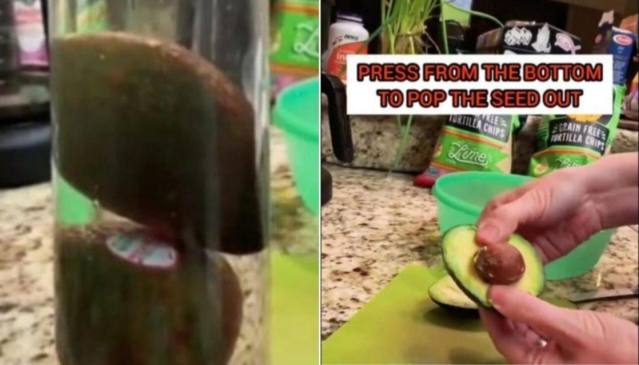 TikTok viral avocado hack condemned by FDA, warns it can spread bacteria