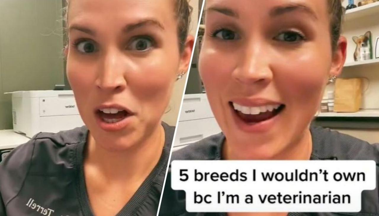 Photo of Un vétérinaire partage les 5 races de chiens que vous ne posséderez jamais
