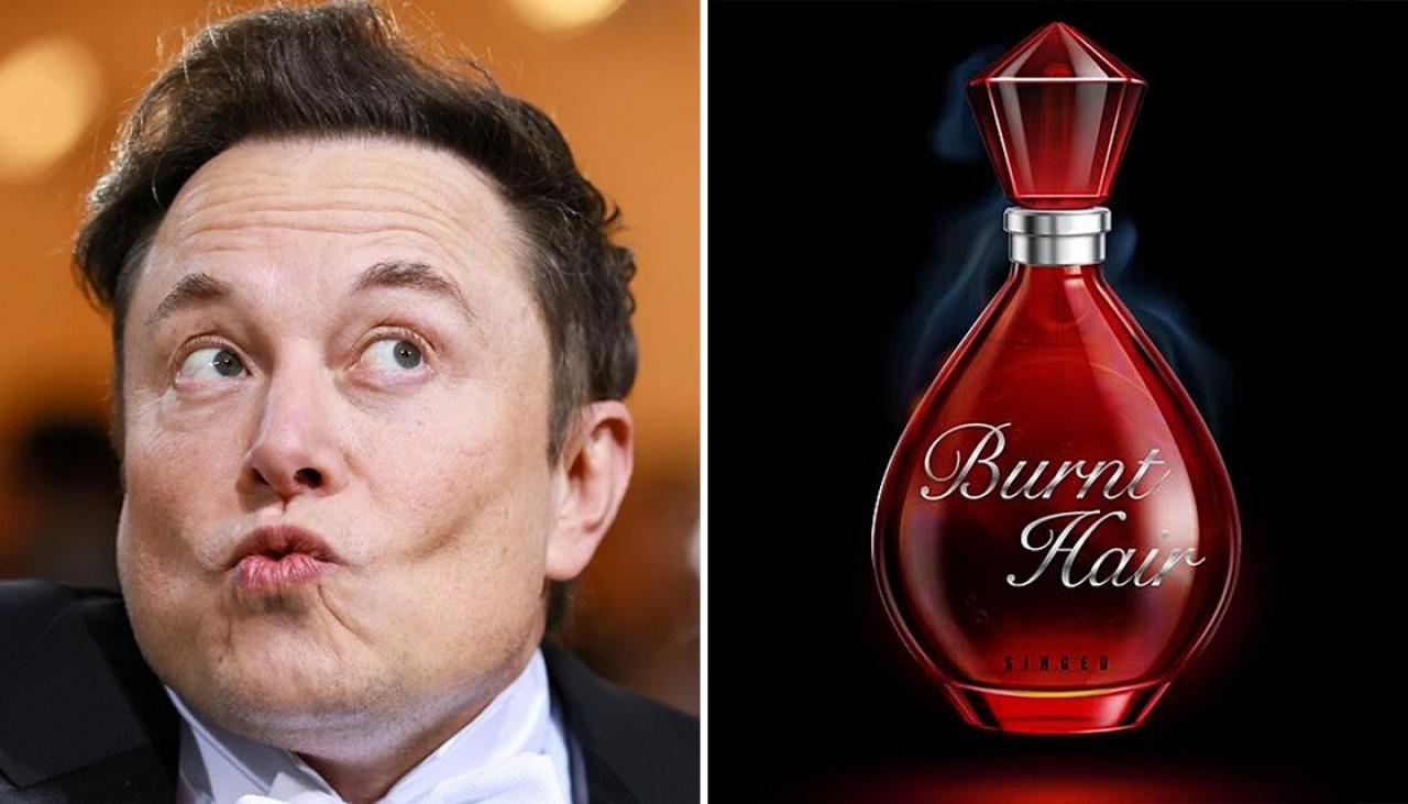 Elon Musk claims to have sold US$1 million worth of new perfume 'Burnt Hair'  | Newshub