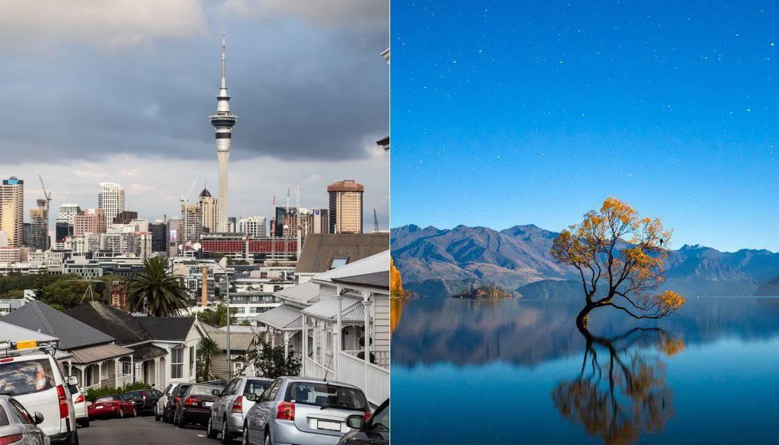 Auckland home buyers wanting to move to South Island as crime rises in city  of sails - Tall Poppy Real Estate | Newshub