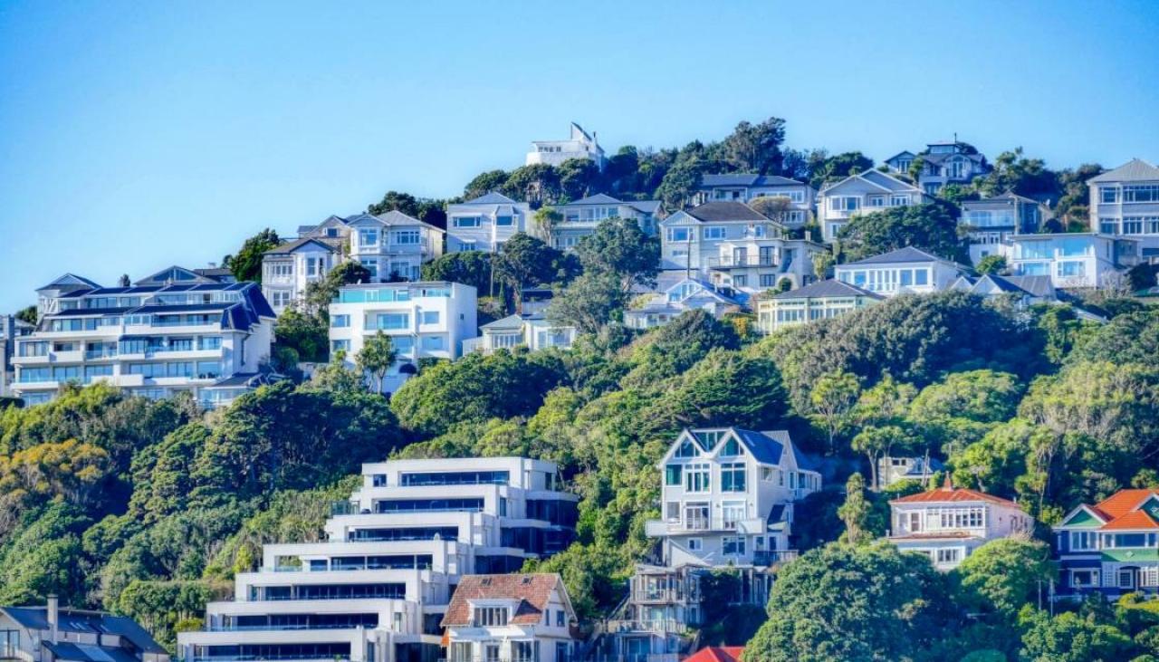 New Zealand property price plunge accelerates, Wellington values plummet  nearly 20 percent in a year | Newshub