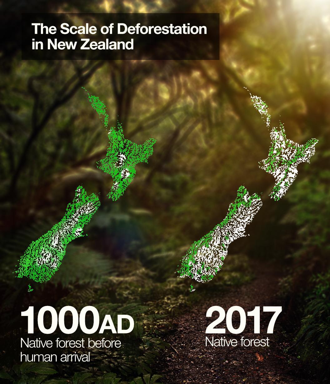 Special report: how polluted are New Zealand's rivers? | Newshub