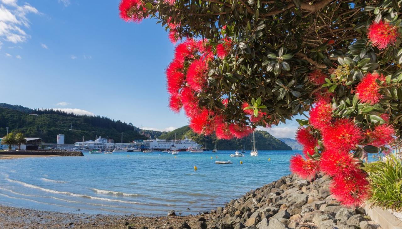 Warm and fine Christmas day for most of New Zealand | Newshub
