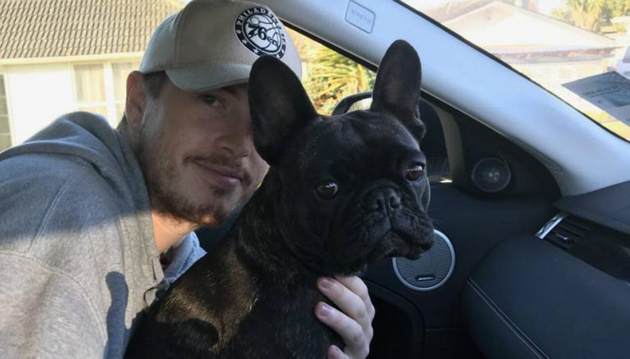 Auckland dog believed stolen returned to joyous family | Newshub