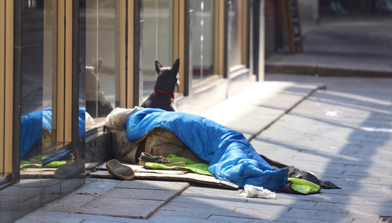 Official count reveals 800 homeless people in Auckland | Newshub