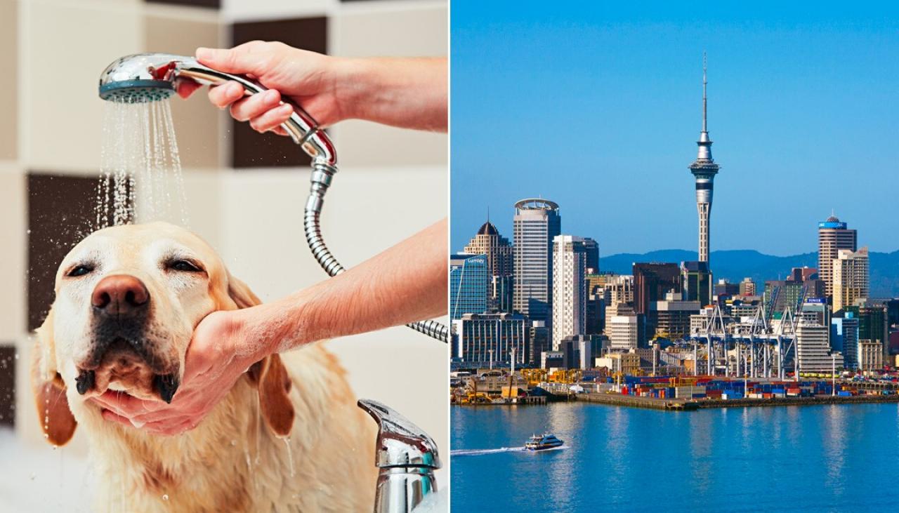 Not crisis yet, but Aucklanders urged to 'be sensible' with water use - Newshub