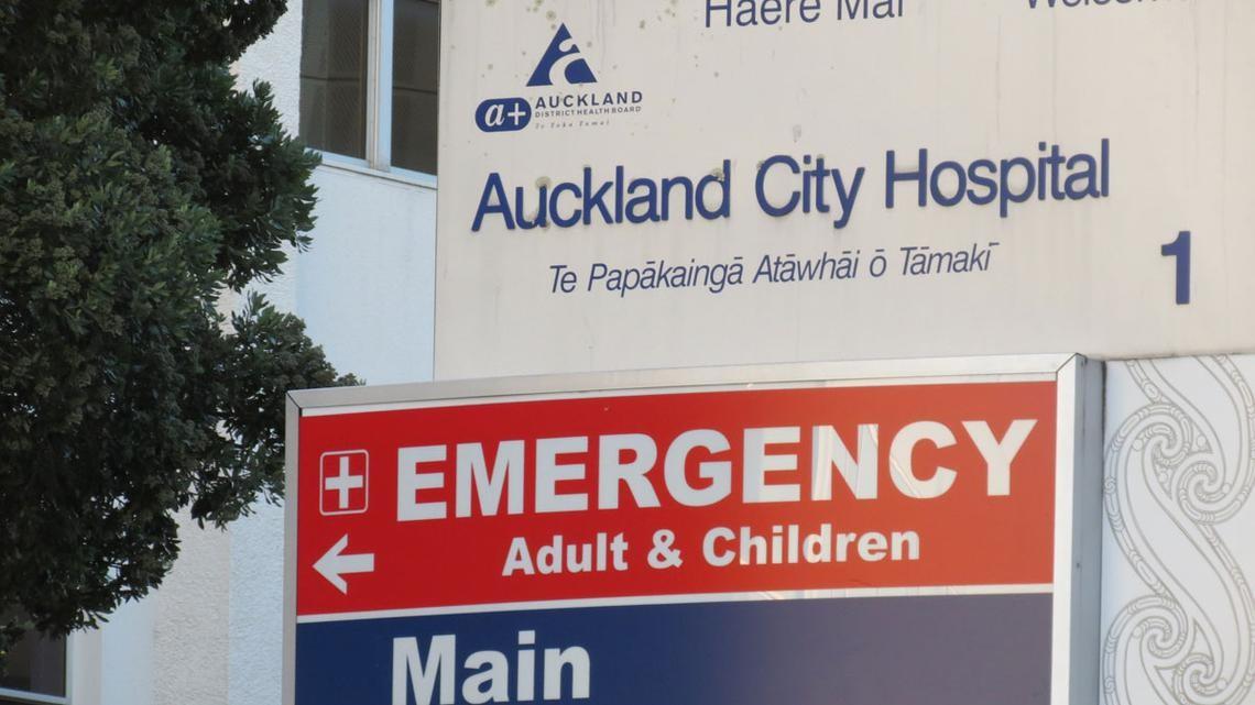 https://www.newshub.co.nz/home/new-zealand/2020/05/auckland-city-hospital-launches-review-after-four-mothers-die-three-since-alert-level-3/_jcr_content/par/image.dynimg.full.q75.jpg/v1590796033279/auckland-hospital-sign2.jpg