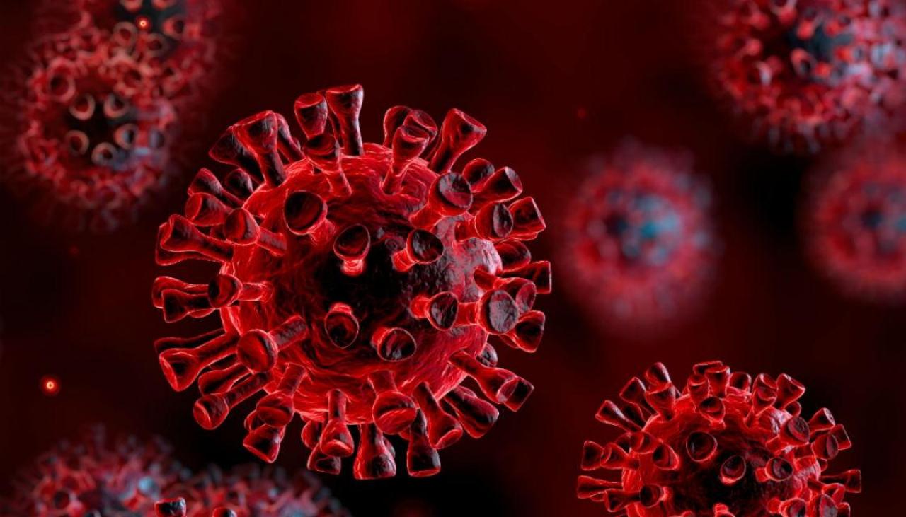 Coronavirus: Three new imported cases of COVID-19 | Newshub