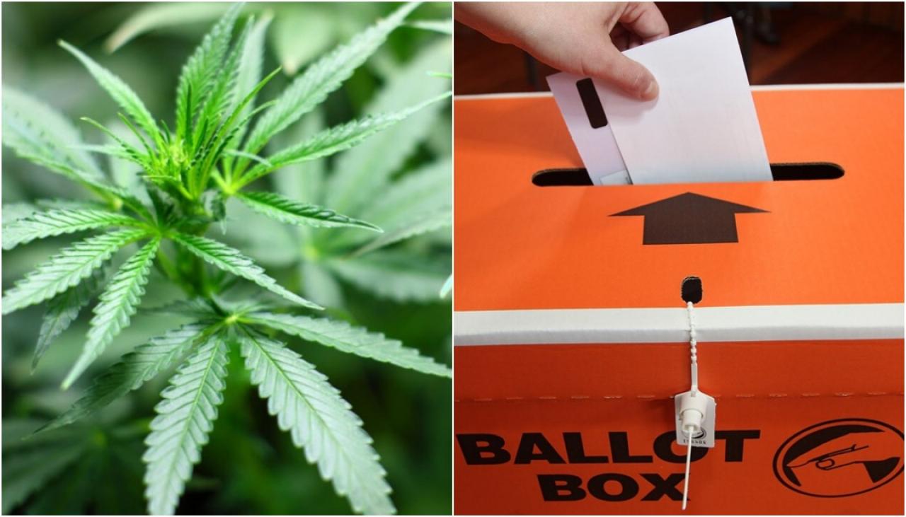 Cannabis referendum: Despite what Chloe Swarbrick says the no vote was never about eliminating weed | Newshub