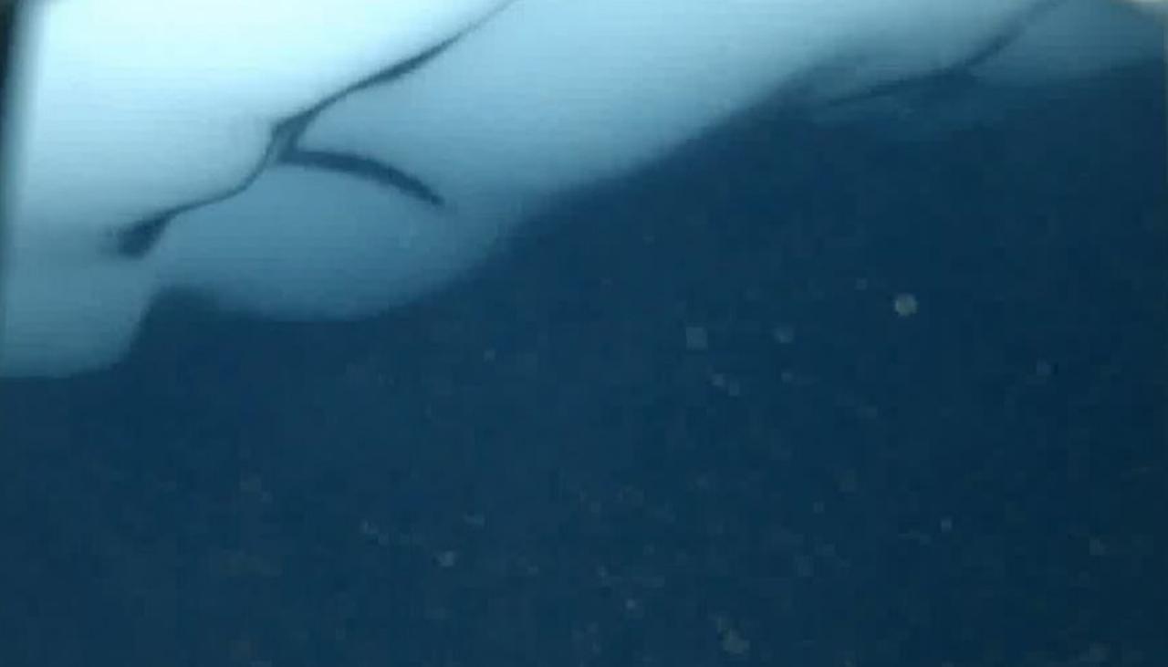 Naukowcy z Kiwi dokonują zdumiewającego odkrycia setki metrów pod lodem Antarktydy