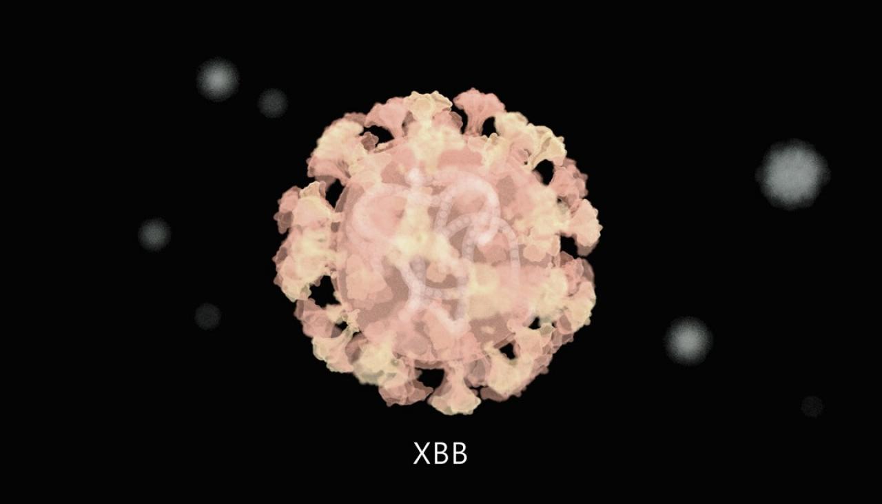 COVID-19: What is the new XBB variant now in New Zealand and are scientists  concerned? | Newshub
