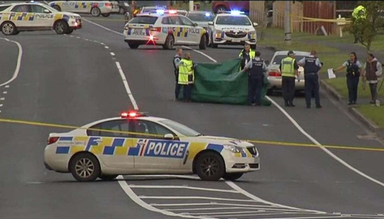 Person dies after being hit by car in south Auckland | Newshub