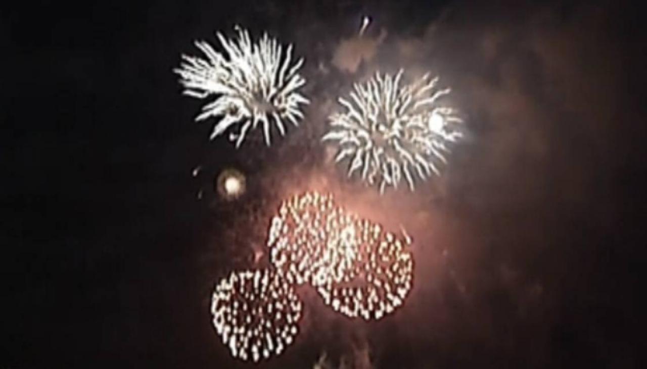 Fireworks bans temporarily in place for parts of New Zealand over summer |  Newshub
