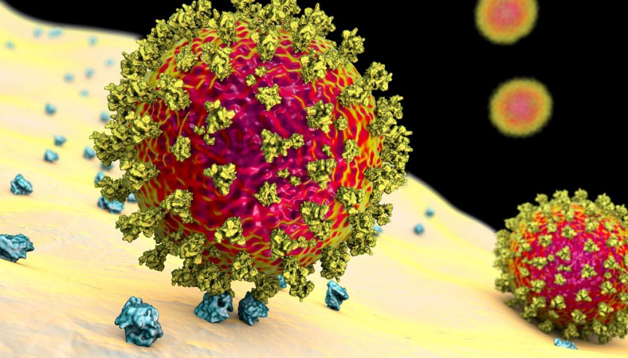 Photo of Coronavirus : les « nouvelles fonctionnalités » de la variante Kraken sont préoccupantes, selon l’épidémiologiste Michael Becker