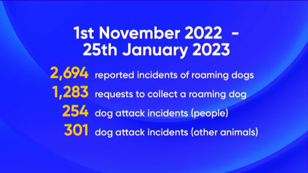 Roaming dogs behind spike in attacks as alarming new statistics revealed |  Newshub