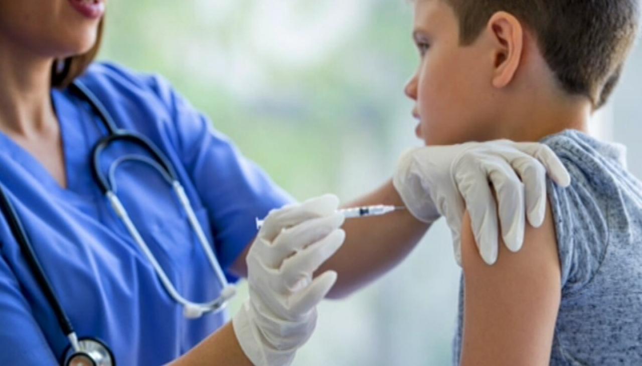 Declining MMR vaccine rates for children raise measles outbreak concerns |  Newshub