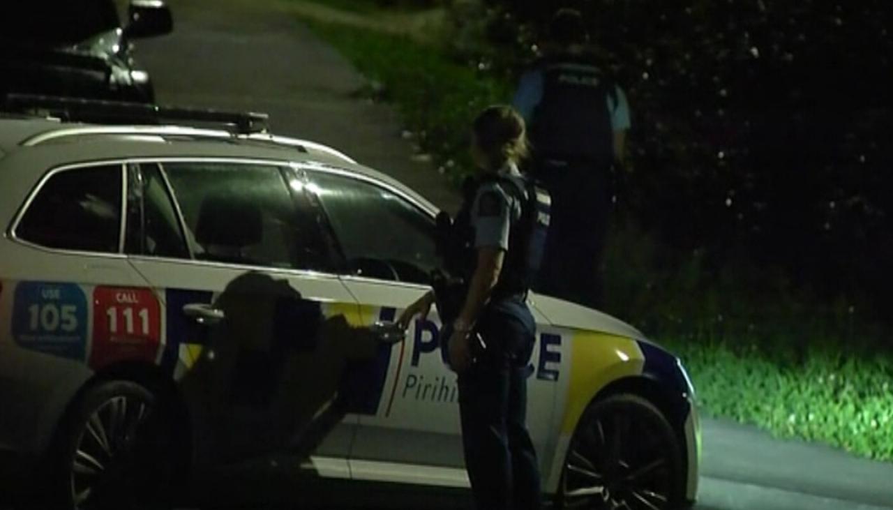West Auckland house surrounded by armed cops | Newshub