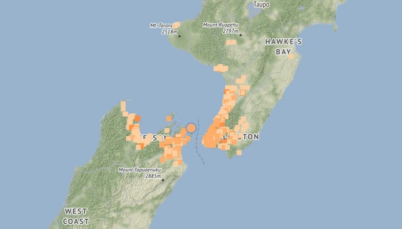 Wellington was struck by a 4.6 magnitude earthquake in the afternoon