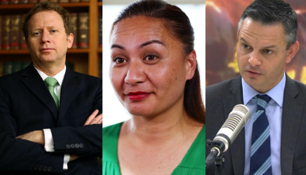 Former Green leader Russel Norman labels Marama Davidson's interview 'terrible', won't call her right person for the job | Newshub