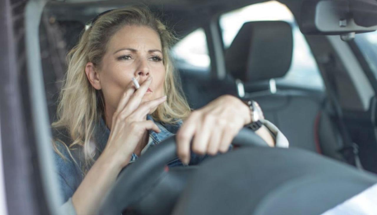 Government bans smoking in cars with children | Newshub