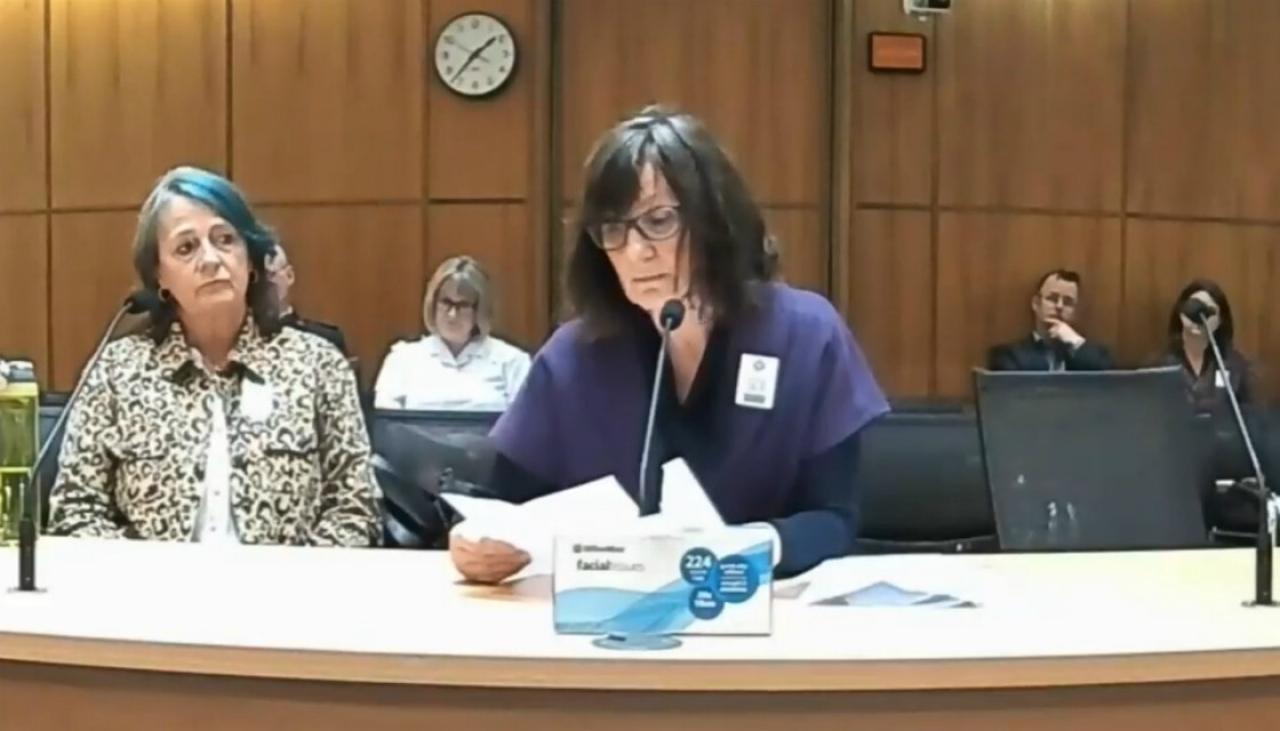 'I died inside': Woman holds back tears in abortion law submission ...