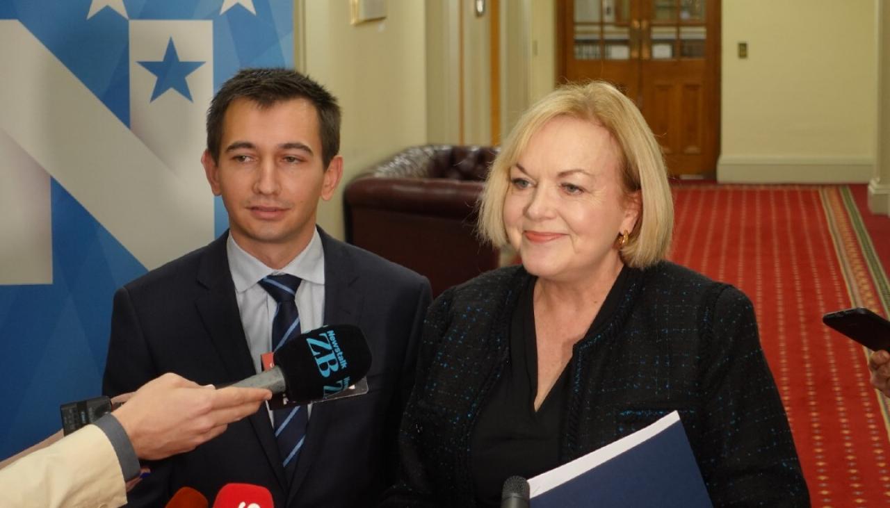 National leader Judith Collins denies systemic racism in police | Newshub