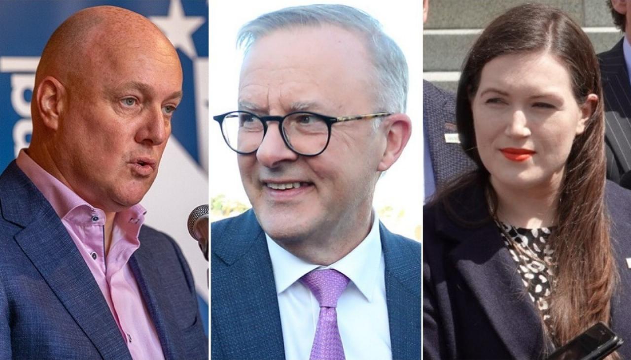 Christopher Luxon, Brooke van Velden call for stronger Australian ties after Anthony Albanese's election
