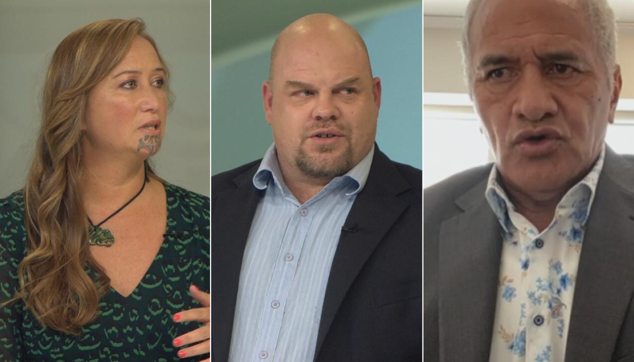 Experts explain what co-governance is and why New Zealanders shouldn't be 'afraid' of it