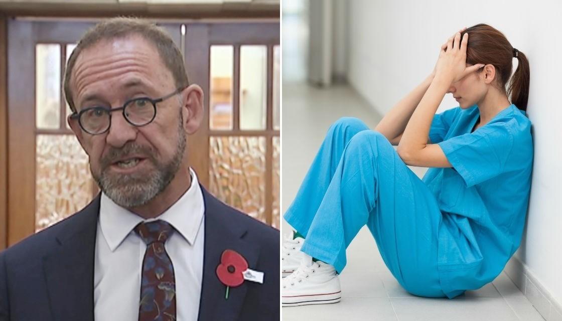 Doctors, nurses criticise Health Minister Andrew Little over 'misleading' emergency  department remarks | Newshub