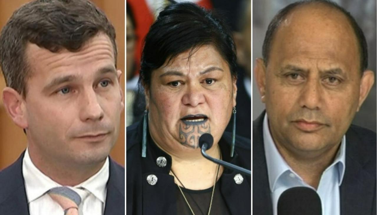 Politicians give their take on Nanaia Mahuta's family member appointments