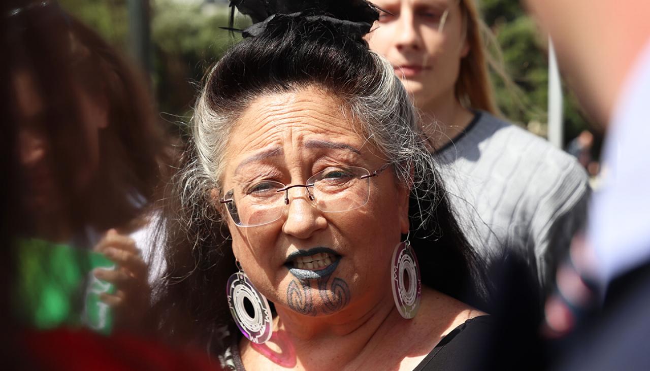 Greens call for end to perpetual leases over Māori land