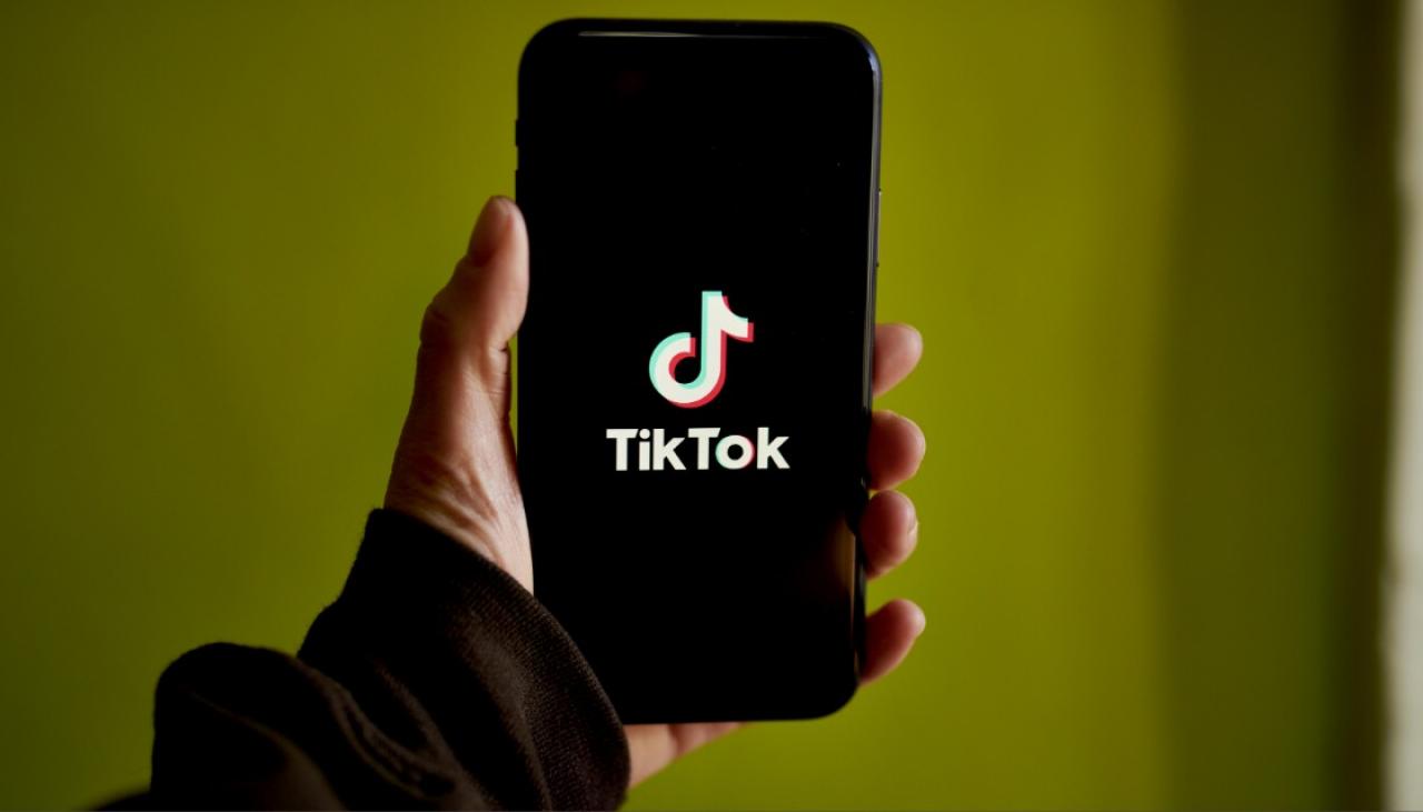 TikTok banned on government devices over security concerns from Chinese-owned  app | Newshub