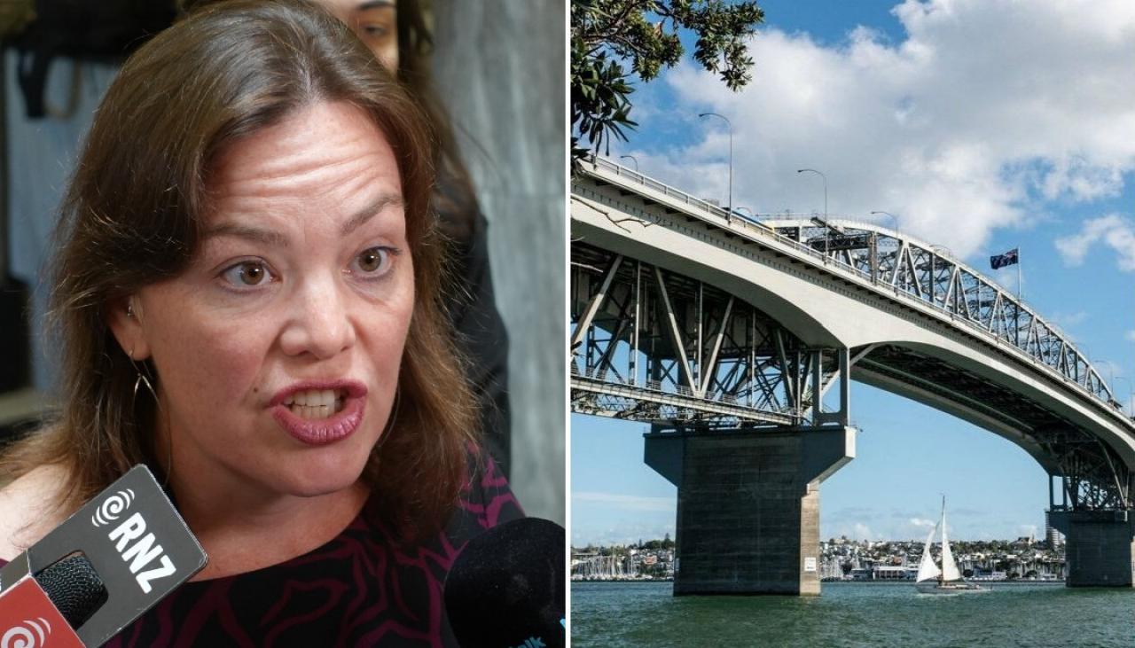 Greens skewer Government's 'irresponsible' Auckland harbour crossing road  tunnels | Newshub